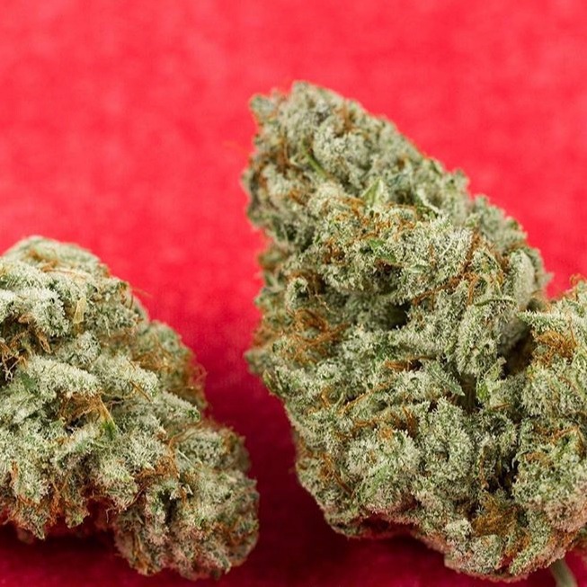 Arbors Wellness Clelmers Leafly